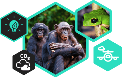 Carbon emissions illustration