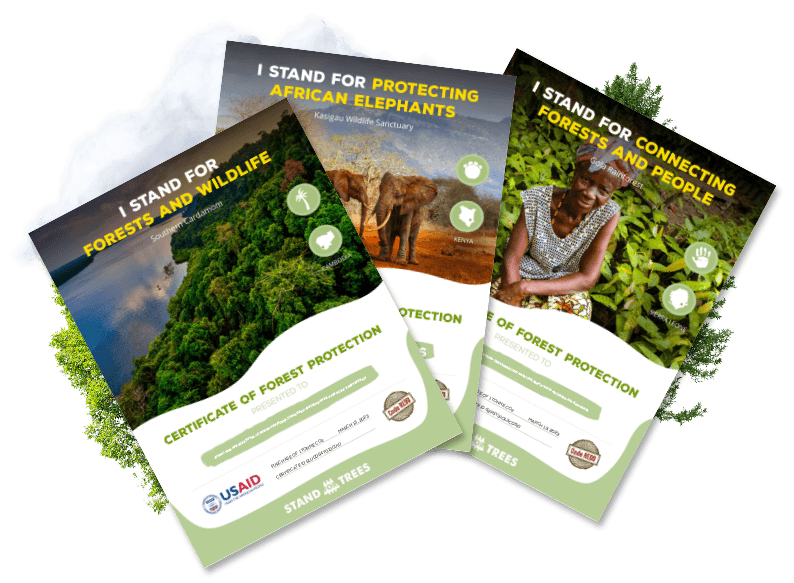 Project certificates